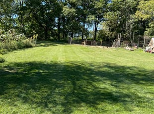 Cal L.'s lawn maintenance service result