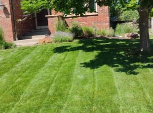 Clinton P.'s lawn maintenance service result