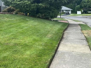 Jared F.'s lawn maintenance service result