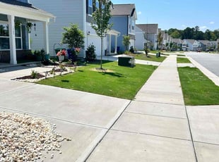 Aashini P.'s lawn maintenance service result