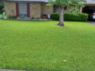 Edna O.'s lawn care services service result