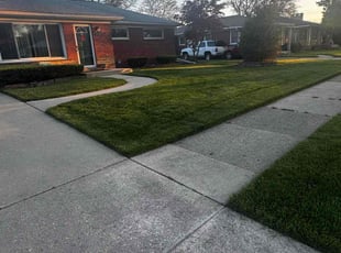Hannah T.'s grass cutting service result