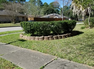 Enrique P.'s Bush Trimming service result