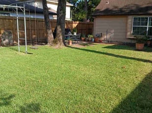 Christie B.'s lawn service service result