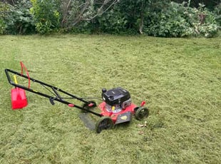 Angela G.'s turf care service result