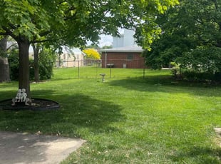 Adam D.'s turf maintenance service result