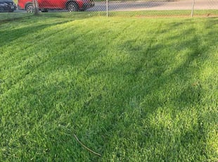 Karmen B.'s Long Grass Cleanup service result
