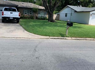 Shawna P.'s yard maintenance service result