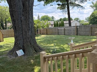 Fred B.'s grass maintenance service result