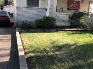 Terry S.'s Bush Trimming service result