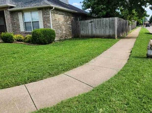 Maxim V.'s turf care service result