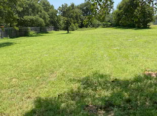 Sharon S.'s lawn care service result