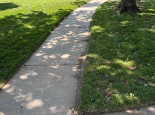 James D.'s turf care service result