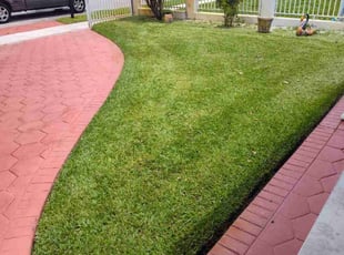 Kimberly K.'s lawn maintenance service result