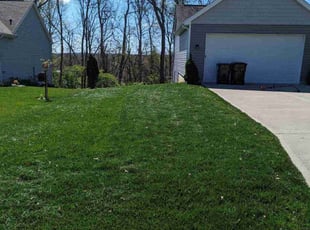 Jeff K.'s grass cutting service result