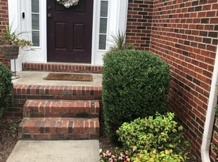 John D.'s Bush Trimming service result