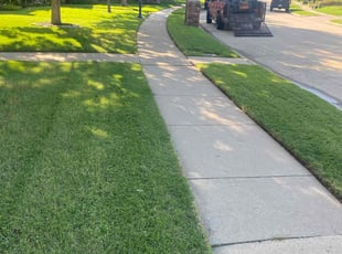 Thomas B.'s lawn maintenance service result