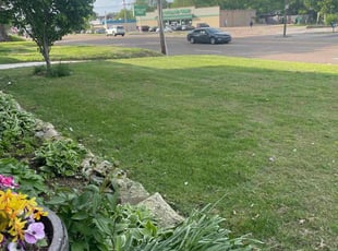 Logan B.'s turf care service result