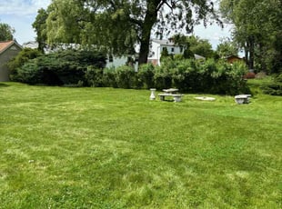 Danny F.'s grass maintenance service result