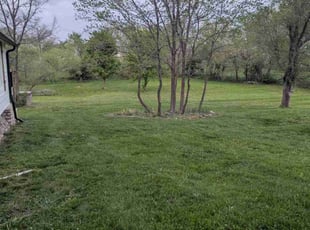 Rebecca F.'s lawn maintenance service result