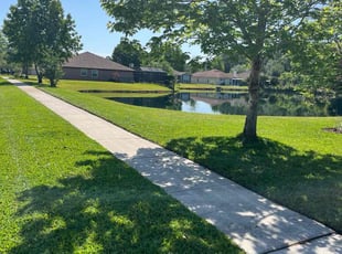 Amanda G.'s turf maintenance service result