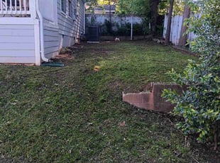 Albert L.'s turf maintenance service result