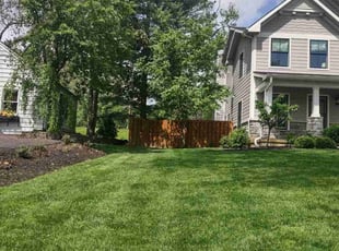 Renee S.'s turf maintenance service result