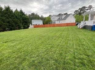 Donnie R.'s lawn care services service result