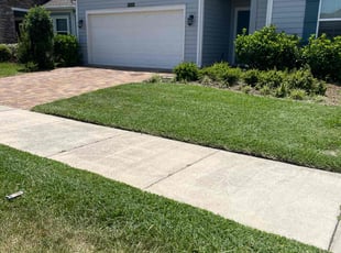 Frederica G.'s turf care service result