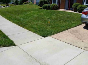 Andrew B.'s turf care service result