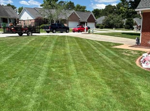 Danita Z.'s lawn maintenance service result