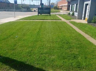 Dwayne A.'s landscaping service result
