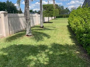joseph a.'s lawn service service result