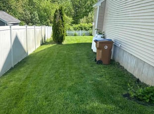 Jill H.'s grass maintenance service result