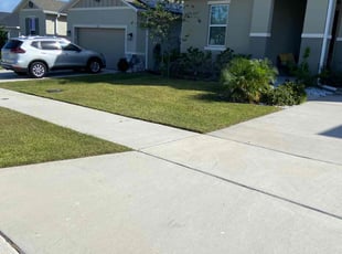 Eric F.'s lawn maintenance service result