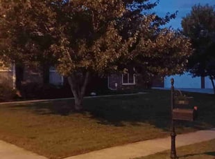 Steve P.'s Bush Trimming service result