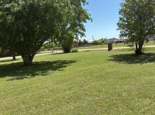 Samantha H.'s grass maintenance service result
