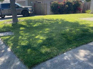 Henry B.'s lawn care service result