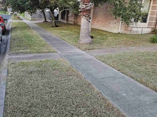 Tabitha N.'s grass cutting service result