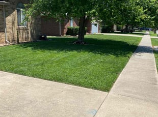 Laura A.'s lawn care services service result