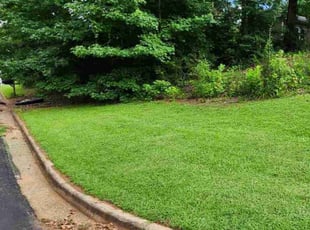 Judy A.'s lawn service service result
