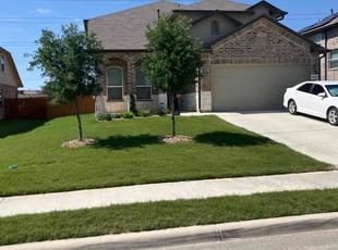 Tami T.'s turf care service result