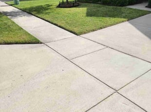 Michelle F.'s lawn care services service result