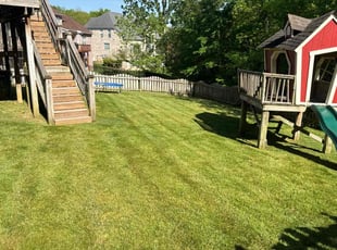 Angel J.'s lawn care service result