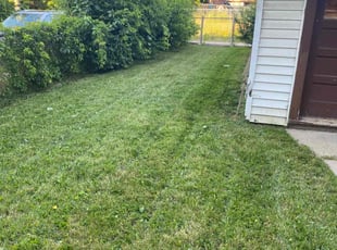Carrie H.'s lawn care services service result