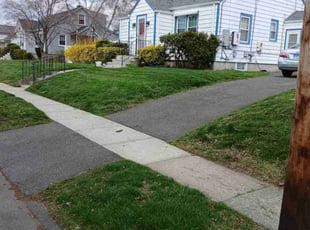 Jennifer M.'s lawn maintenance service result
