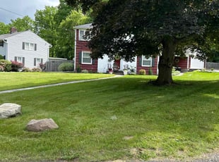 Haley W.'s lawn service service result