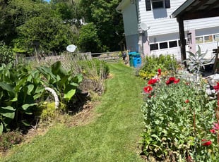 Talita B.'s lawn care services service result
