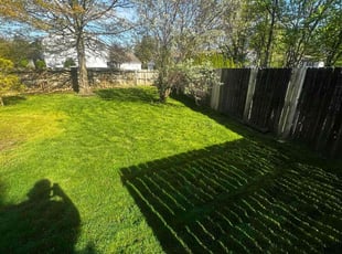 Leslie G.'s grass maintenance service result