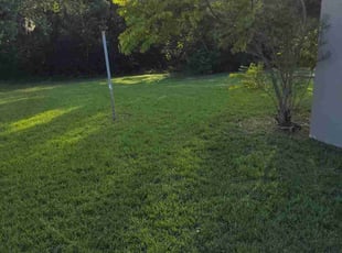 Jacques B.'s turf maintenance service result